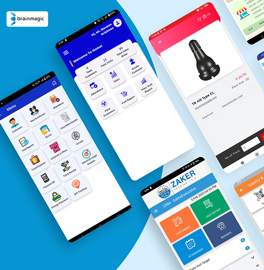 custom software development for businesses