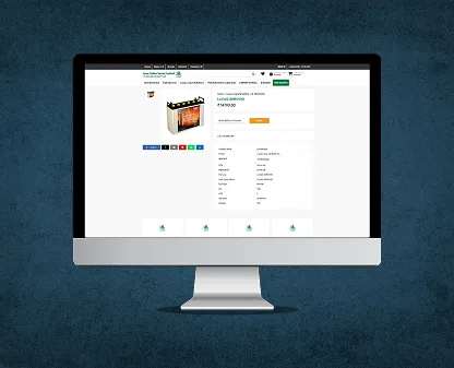 ecommerce website development